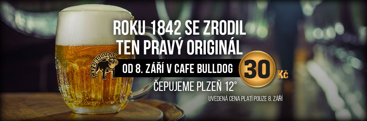 Cafe Bulldog Breclav Plzen